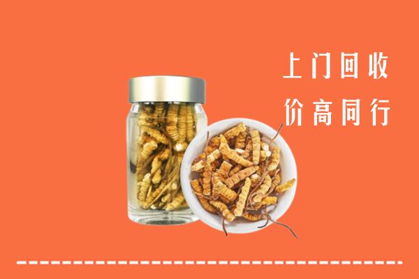 阿拉善高价回收冬虫夏草