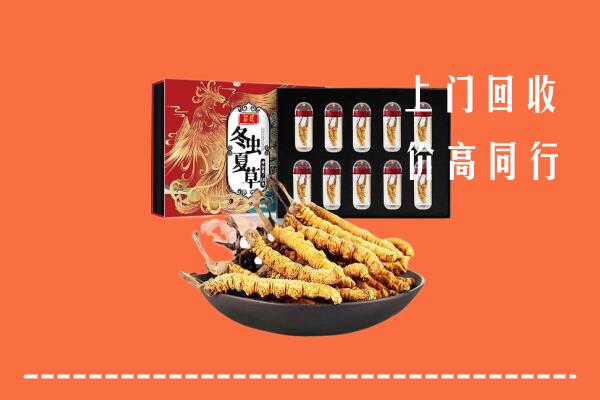 阿拉善高价回收虫草